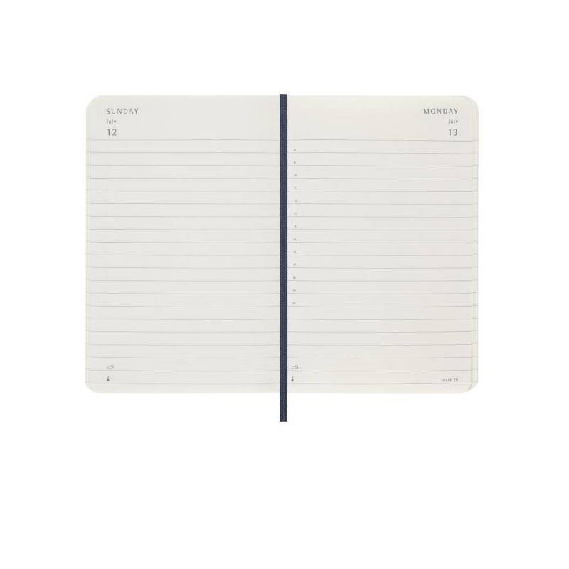 12M DAILY PK SAP.BLUE SOFT