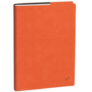 AGENDA PROFESSORE IT CLUB ARANCIO