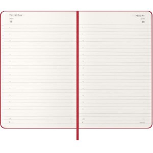 12M DAILY LG S.RED HARD