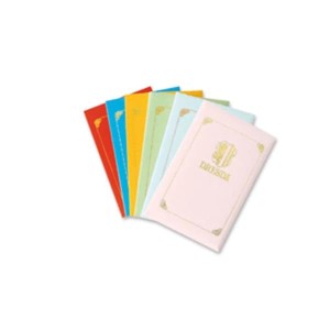 24CF 10 BIGLIETTI + 10 BUSTE 9X14CM FORMATO 9 - COLORI ASSORTITI