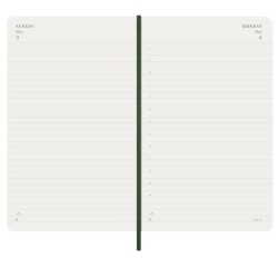 12M DAILY LG MYRTLE GREEN SOFT