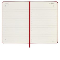 12M DAILY PK S.RED HARD