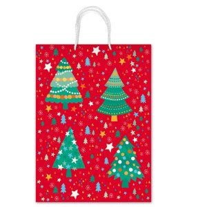 BORSE CON CORDONCINO REX F.TO 20X25X10 CM