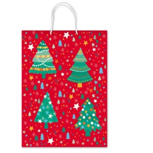 BORSE CON CORDONCINO REX F.TO 30X41X12 CM.