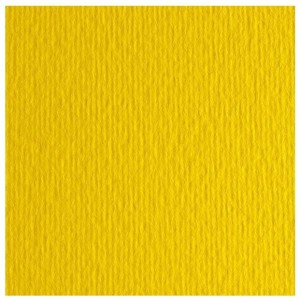 CF10 LR CEDRO-70X100