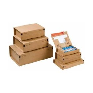 CF10PACCHI CARTONE MM460x310x160