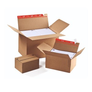 CF10Scat.americana altezza regolabile