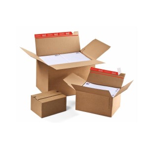 CF10Scat.americana altezza regolabile