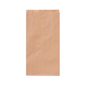 CF100 BUSTE AVANA 10X18X3