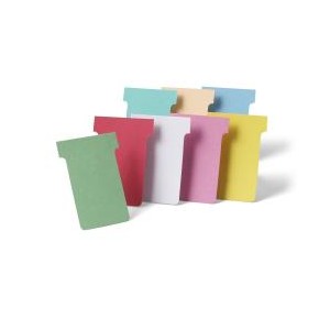 CF100 SCHEDE A T ROSSO INDICE 2