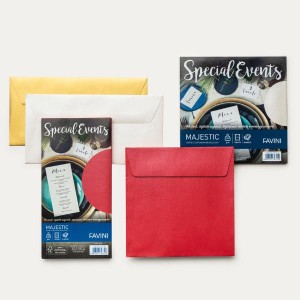 CONFEZIONI DA 10 BUSTE FORMATO CM. 17X17 SPECIAL EV. 10BS:120 SILVER