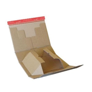 CF20PACCHI CARTONE MM300x212x43