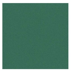 CF25FF COLORLINE 70X100 VERDE VIVO