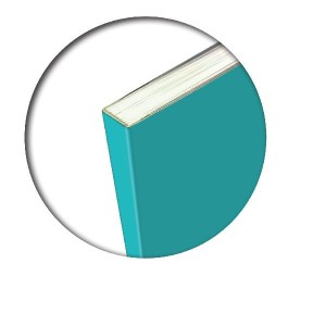 CF5 ONE COLOR BROSSURATO 1R ASSORT