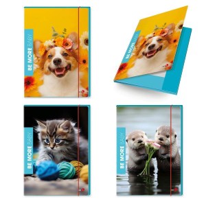 CF 6 CARTELLINE 3 LEMBI FLOR DORSO 1CM CON ELASTICO TONDO 25 5X35 COVER 700GR PLASTICA LUCIDA