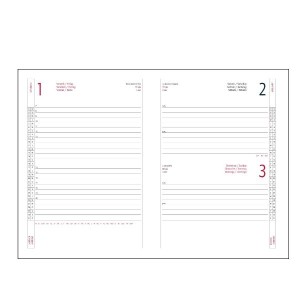 AGENDA GIORNALIERA 17X24 ALFA VERDE